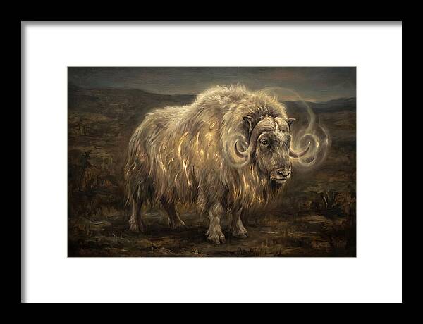 Musk Ox