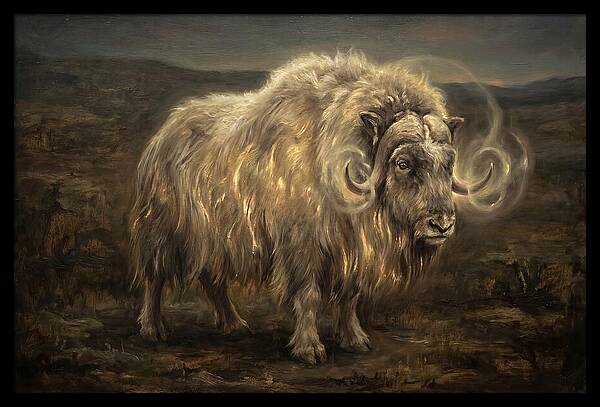 Musk Ox
