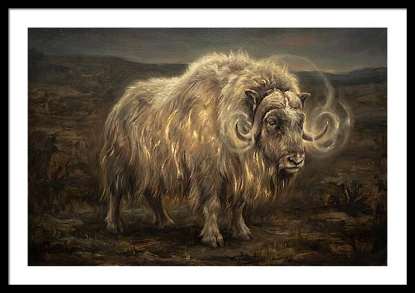 Musk Ox