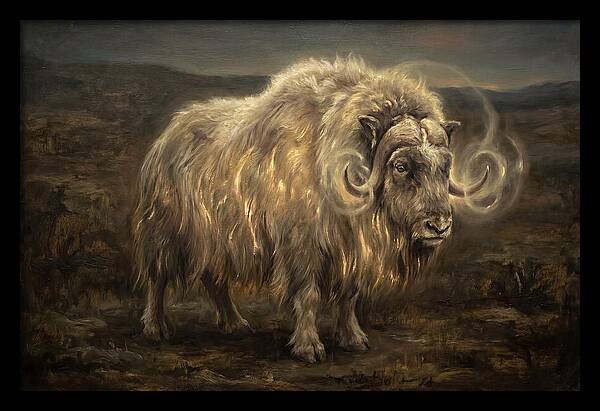 Musk Ox