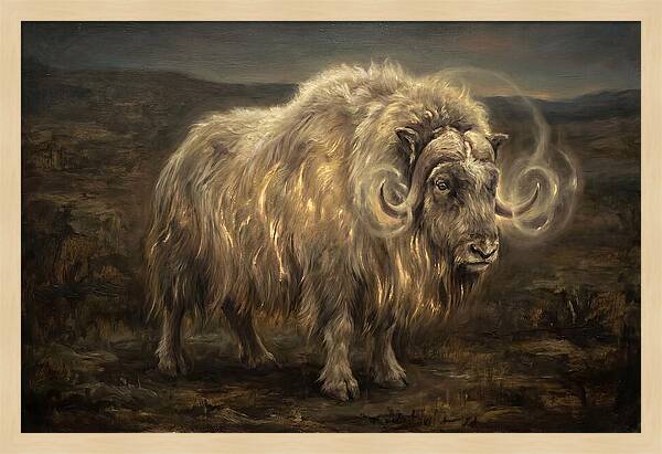 Musk Ox