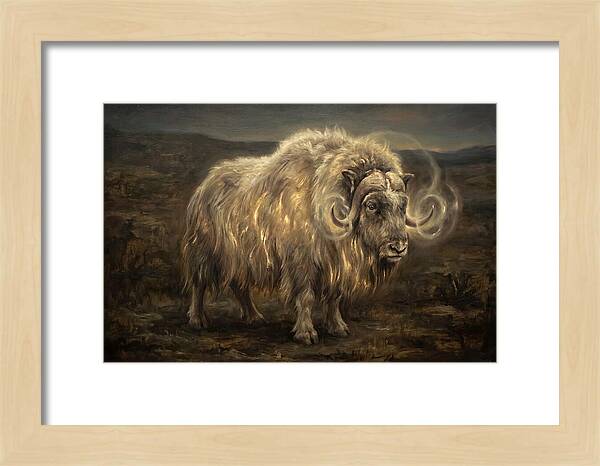 Musk Ox