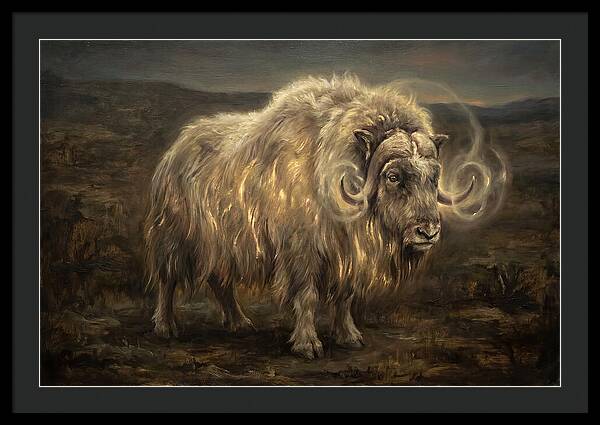 Musk Ox