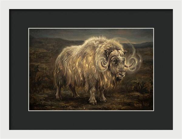 Musk Ox