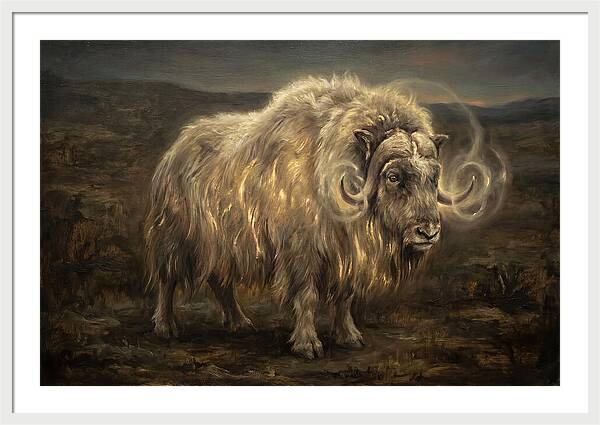Musk Ox