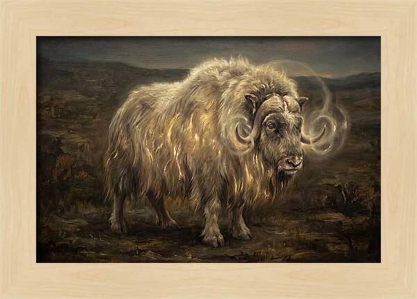 Musk Ox