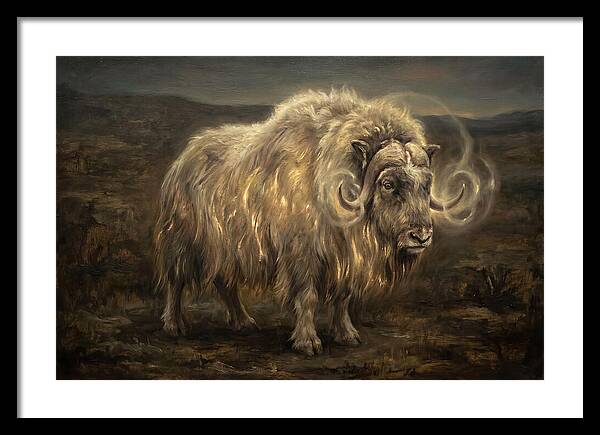Musk Ox