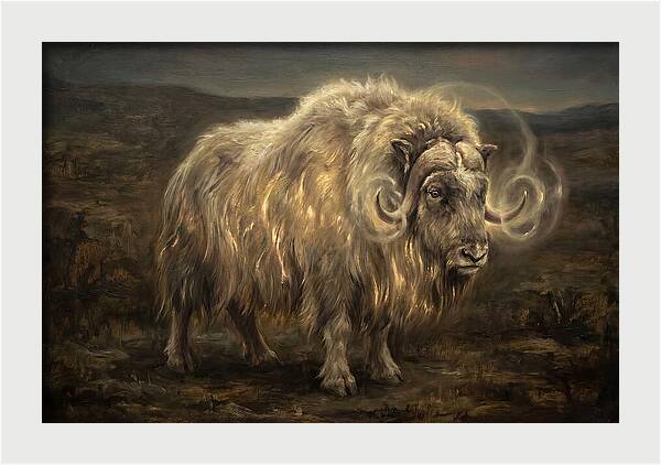 Musk Ox