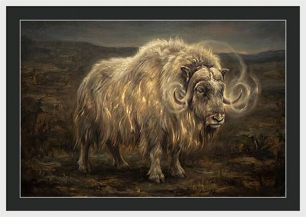 Musk Ox