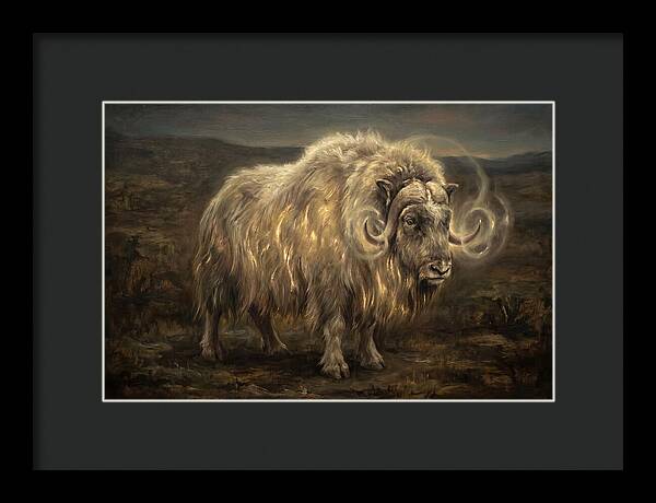 Musk Ox