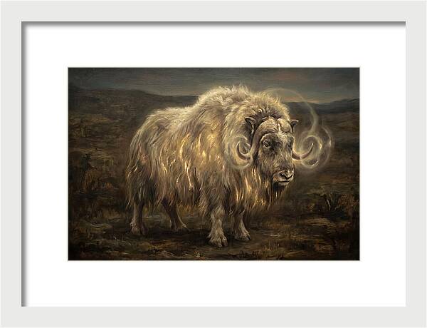 Musk Ox