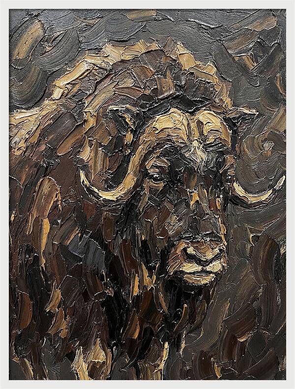 Musk Ox In Rich Textures