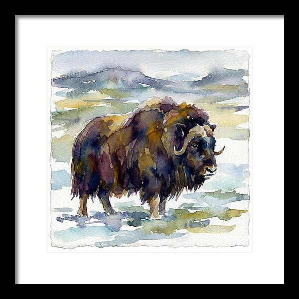 Musk Ox In Watercolor