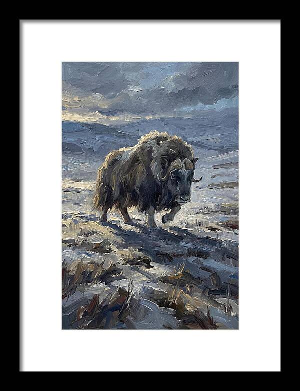 Musk Ox In Winter Landscape