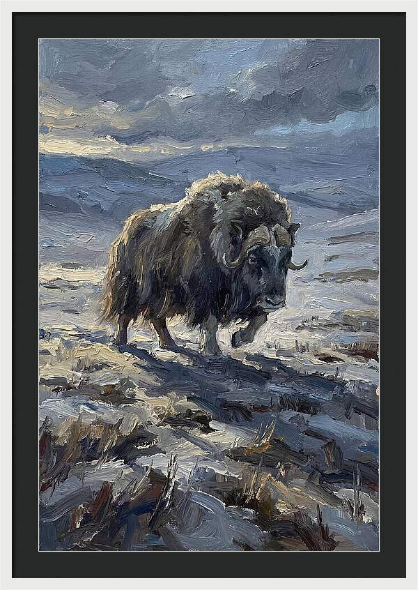 Musk Ox In Winter Landscape