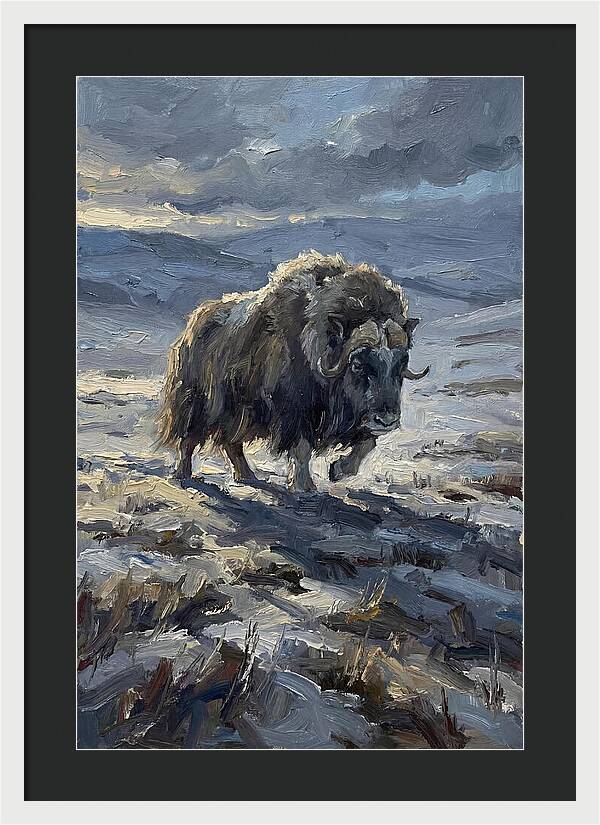 Musk Ox In Winter Landscape