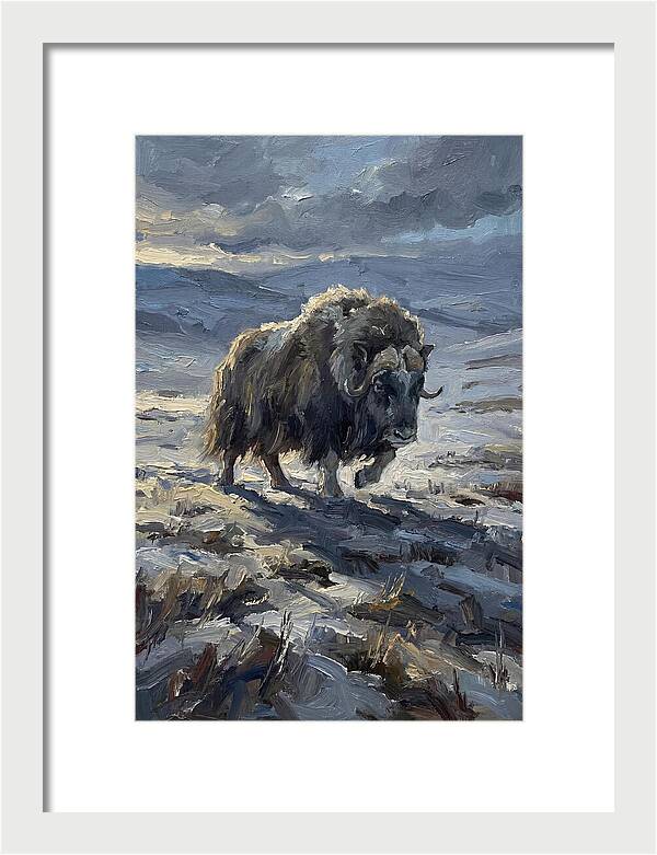 Musk Ox In Winter Landscape