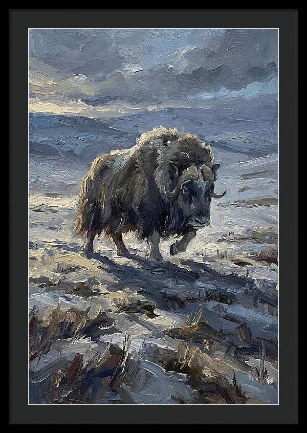 Musk Ox In Winter Landscape