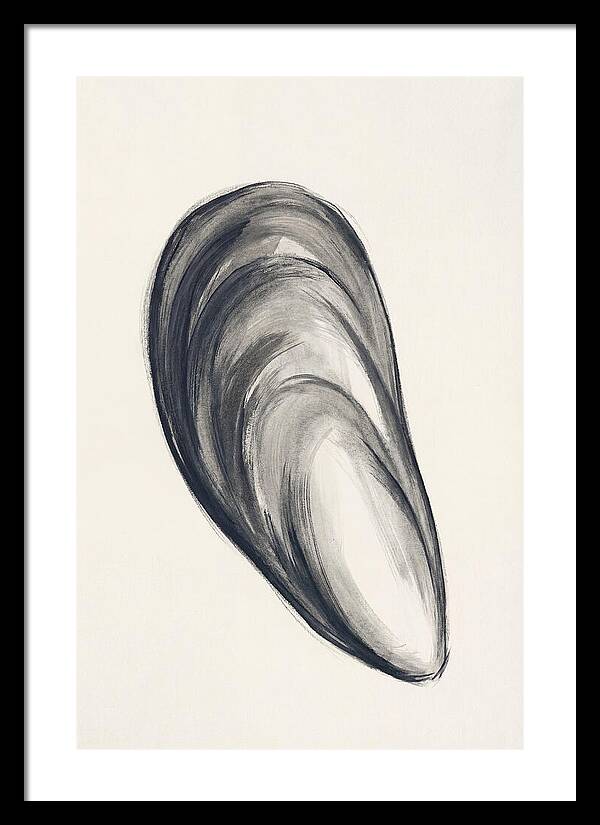 Mussel Shell Elegance