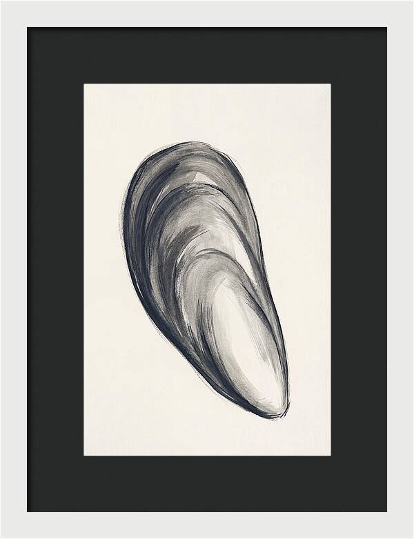 Mussel Shell Elegance