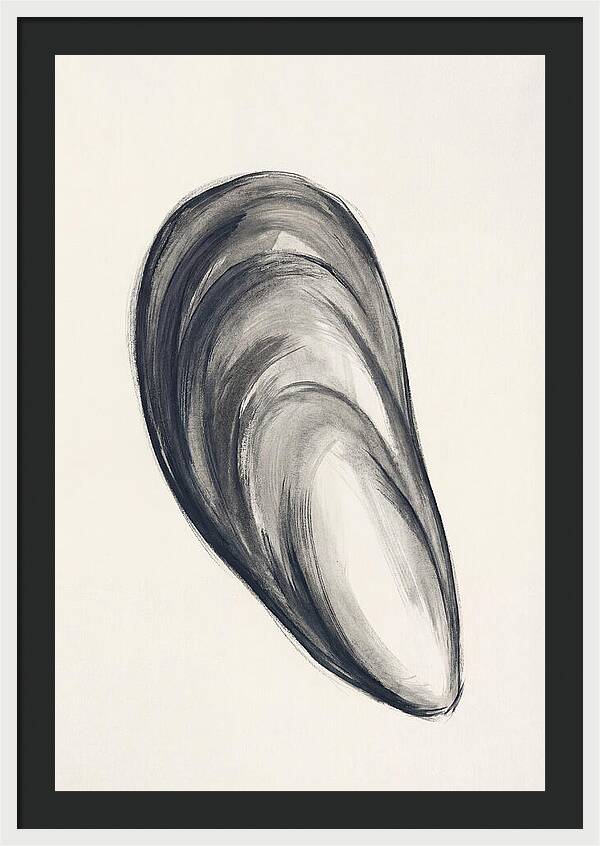 Mussel Shell Elegance