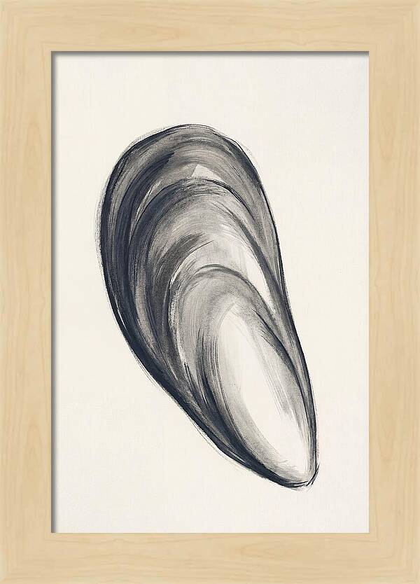 Mussel Shell Elegance