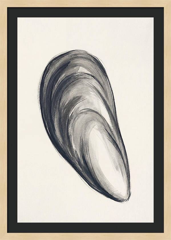 Mussel Shell Elegance