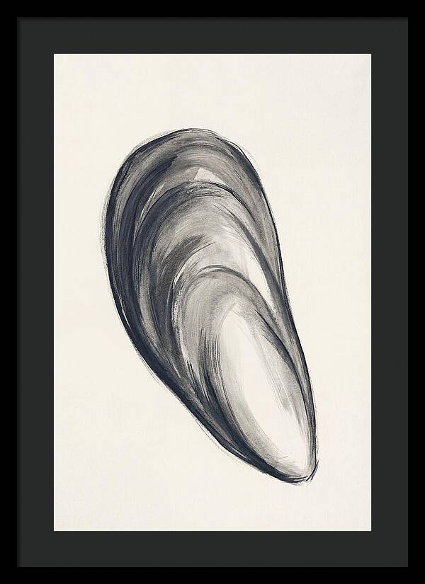 Mussel Shell Elegance