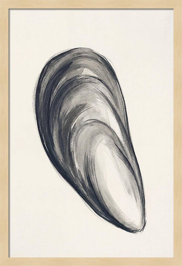 Mussel Shell Elegance