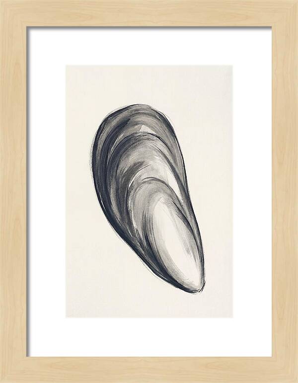 Mussel Shell Elegance