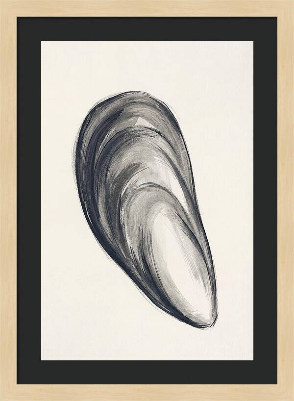 Mussel Shell Elegance