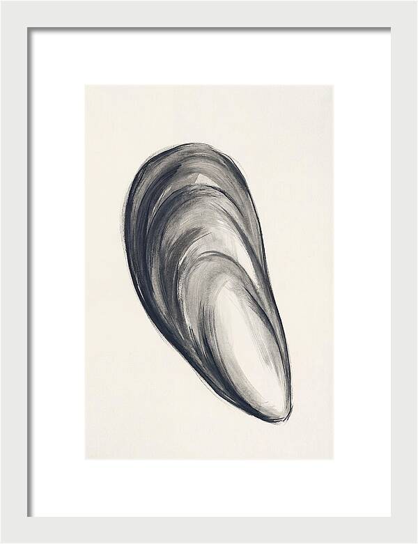Mussel Shell Elegance