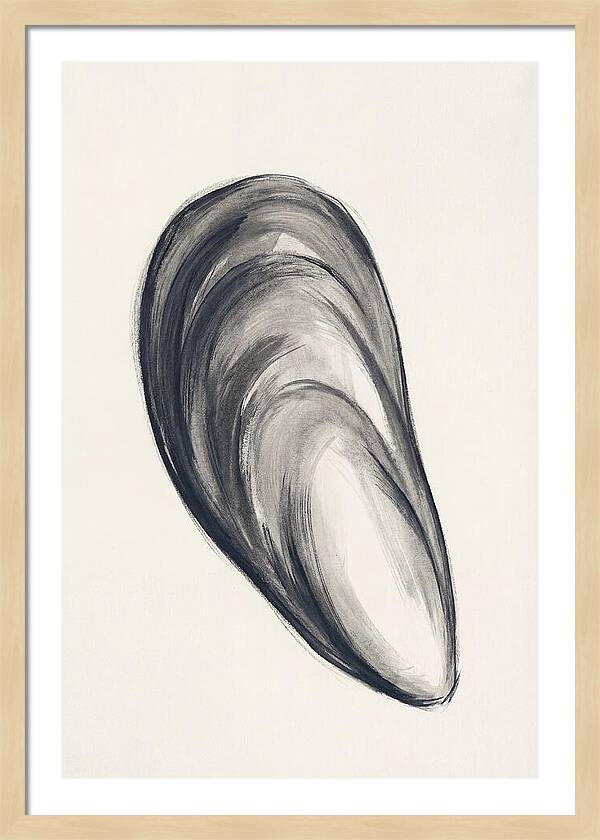 Mussel Shell Elegance