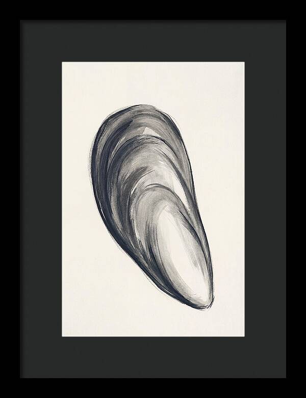 Mussel Shell Elegance