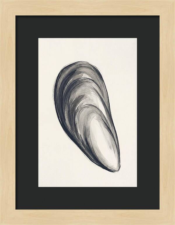 Mussel Shell Elegance