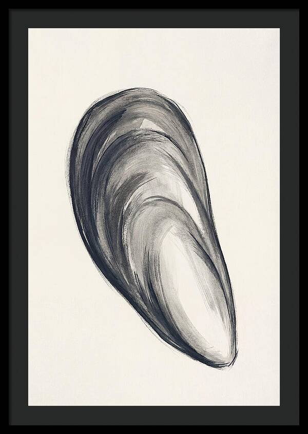 Mussel Shell Elegance