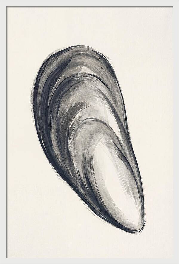 Mussel Shell Elegance