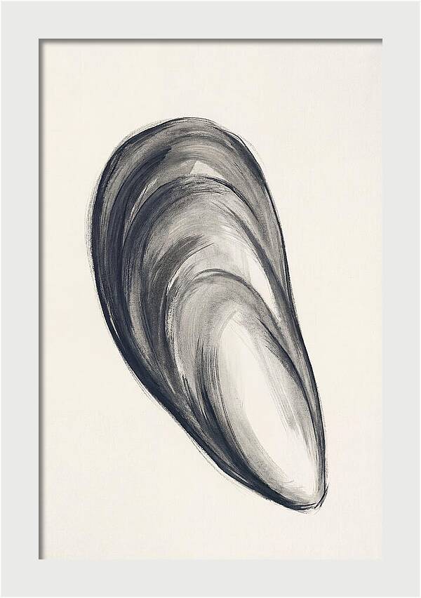 Mussel Shell Elegance