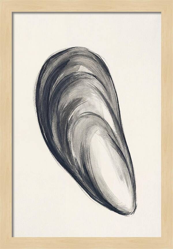 Mussel Shell Elegance