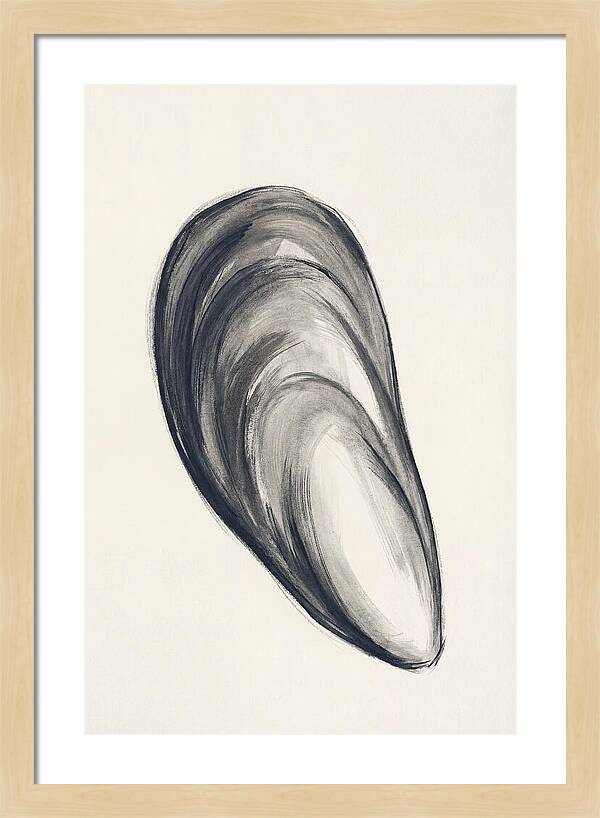 Mussel Shell Elegance
