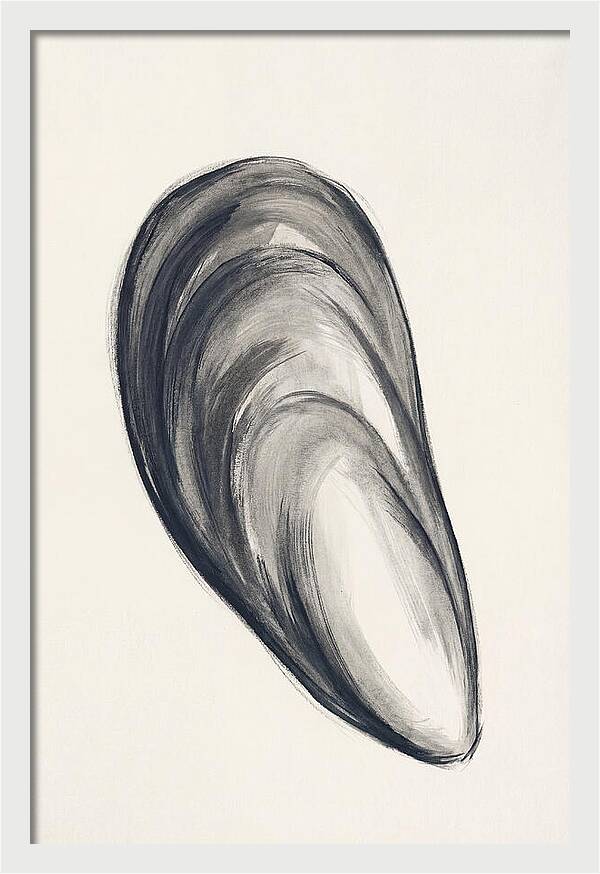 Mussel Shell Elegance
