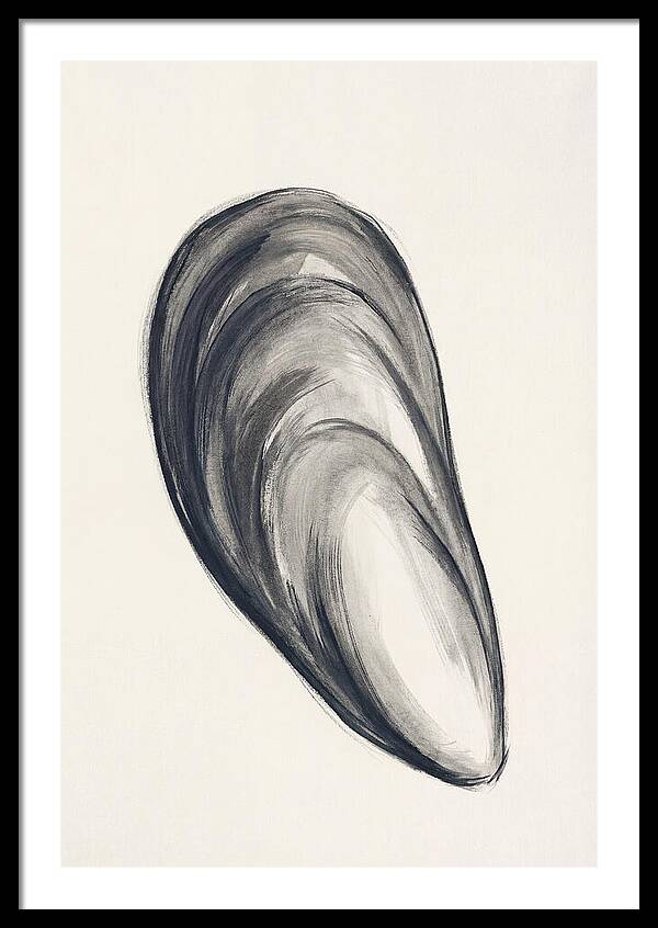 Mussel Shell Elegance
