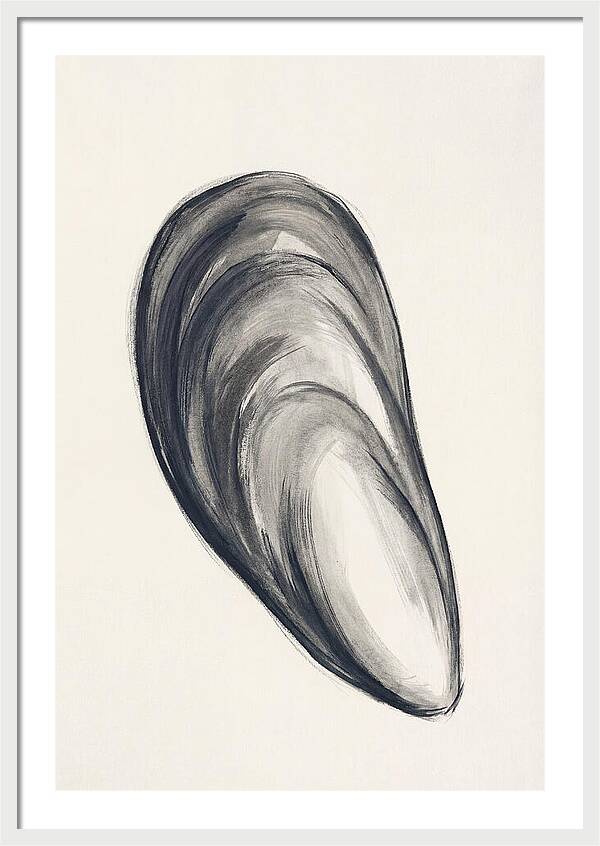 Mussel Shell Elegance
