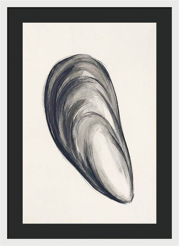 Mussel Shell Elegance
