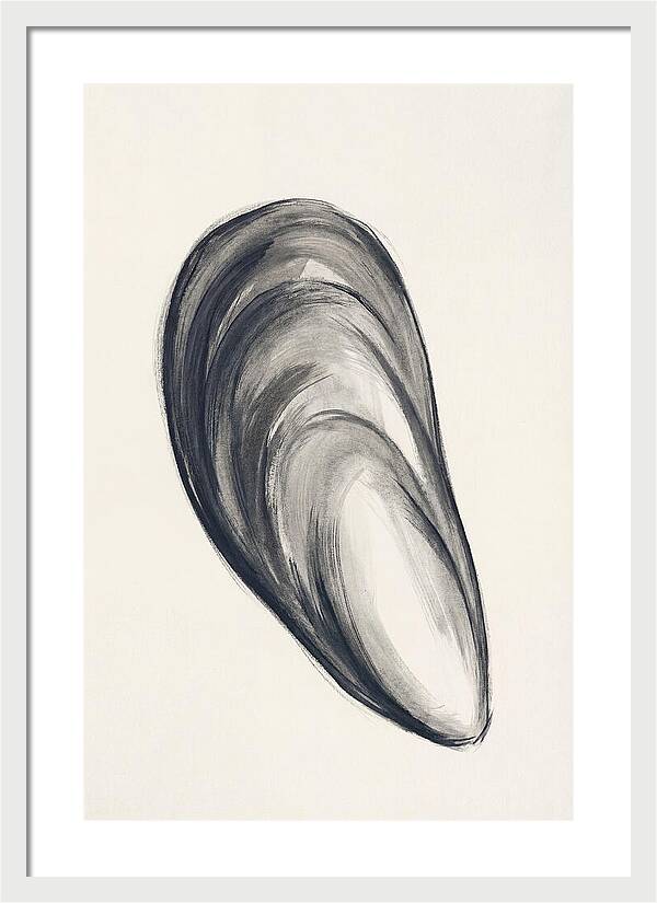 Mussel Shell Elegance