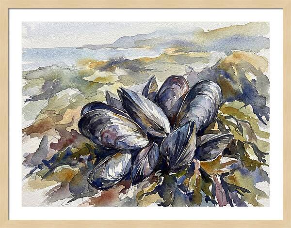 Mussels By The Shore