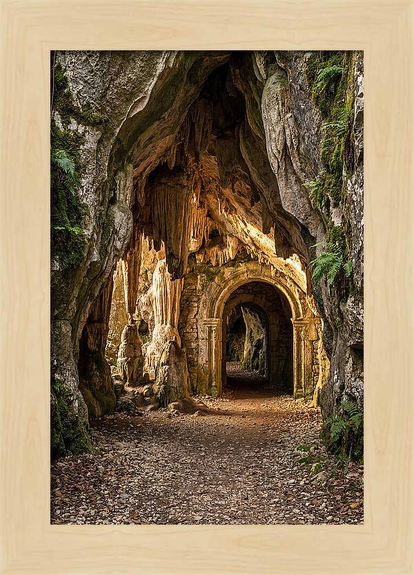 Mysterious Cave Entrance