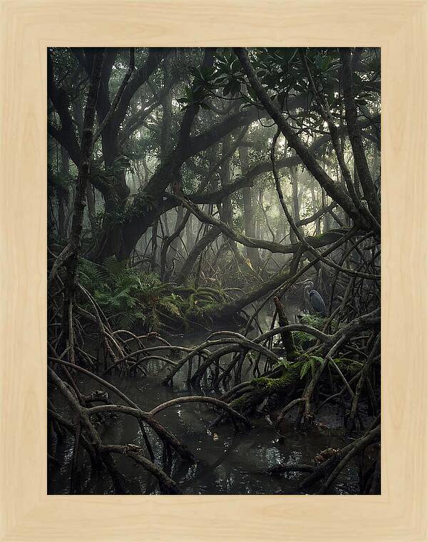 Mysterious Mangrove Swamp