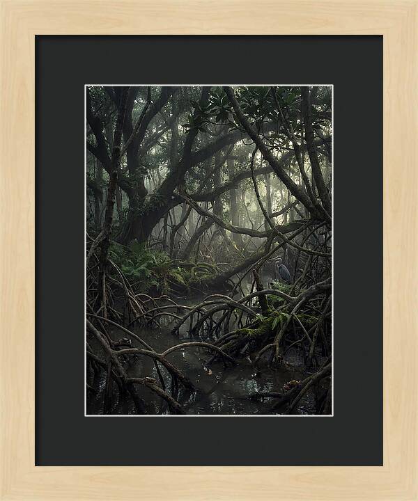 Mysterious Mangrove Swamp