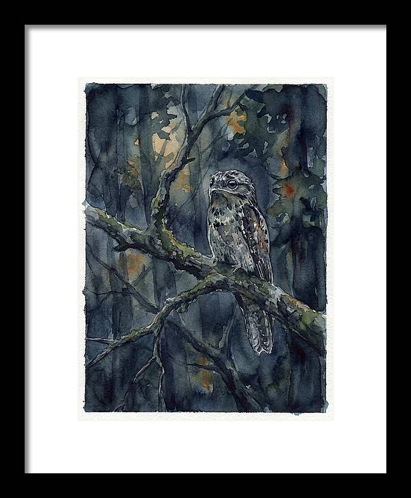 Mysterious Potoo At Dusk